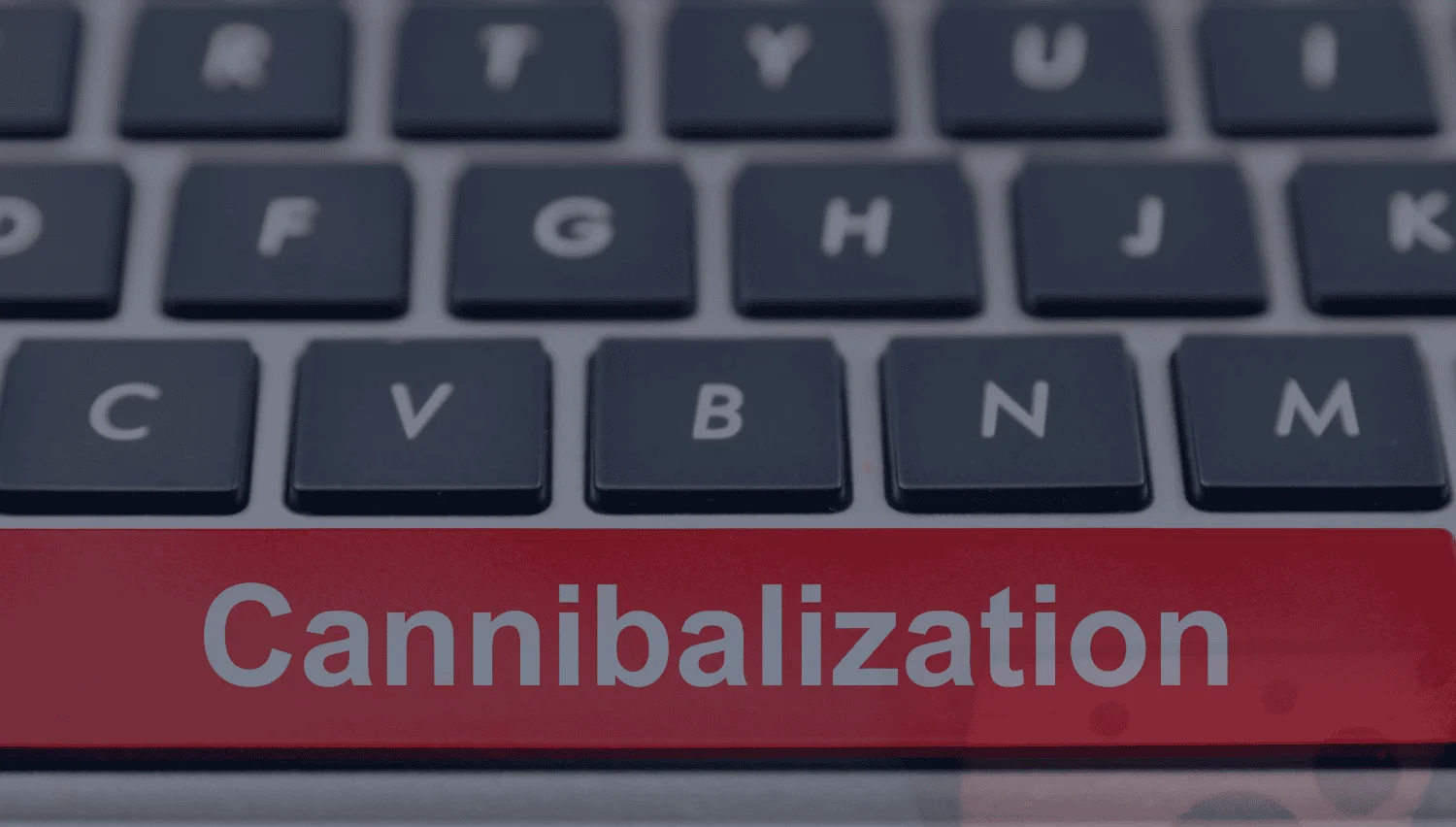 Keyword Cannibalization Guide: The Impact and Steps to Identify Issues