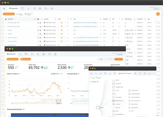 AccuRanker dashboard